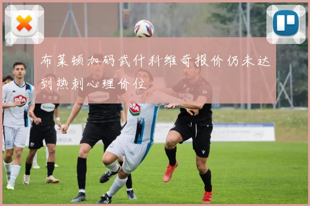 布莱顿加码武什科维奇报价仍未达到热刺心理价位